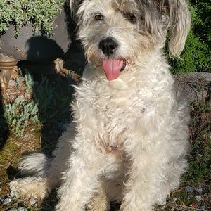 Meet your Posher, Monika